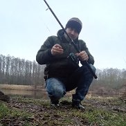 , 43 , 