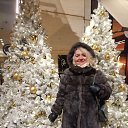 ���� �������, �����-���������, 54 ���� - ��������� 14 ������� 2025 � ������ ���� ����������