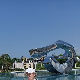, , 58 