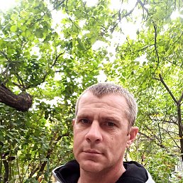  , 37, 