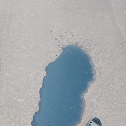 ���� ����� ��������, ����, 46 ��� - ��������� 3 ���� 2024