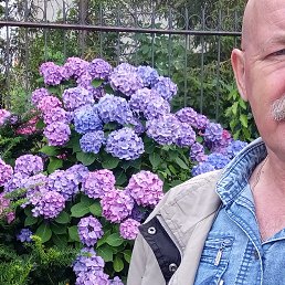 , 58 , 