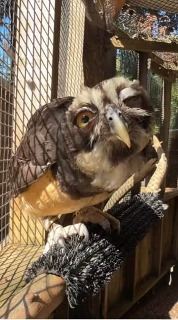 �� ��� ���� ������ �������? ������� ������ ������ ����� ������� �������� � �������� ������� �� ����� ... - 2