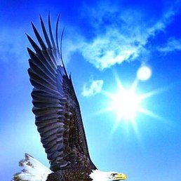 ������, ������, 47 ���