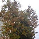 ���� ���������, ����� - ��������� 30 �������� 2025 � ������ ��������������� ����ܻ