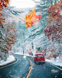 �����������