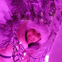 ���� �����, ���������, 56 ��� - ��������� 29 ������ 2026 � ������ ���� ����������