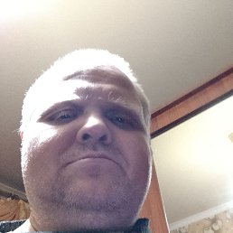 �����, 41 ���, ���������