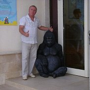 ������, 66 ���, ������