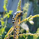 ���� �����, ���������, 50 ��� - ��������� 9 ������� 2025 � ������ �������� �������..�