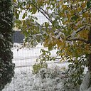 ���� ������, �������, 52 ���� - ��������� 7 ������ 2023 � ������ ���� ����������