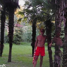 �����, ����, 50 ���