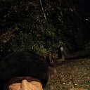 ���� ��������, ���������, 53 ���� - ��������� 27 ������ 2025 � ������ ���� ����������