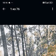 �������, 46 ���, ������