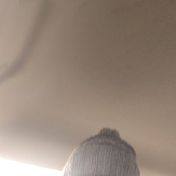 ������, 43 ����, ������