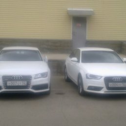 �������, ������, 43 ����