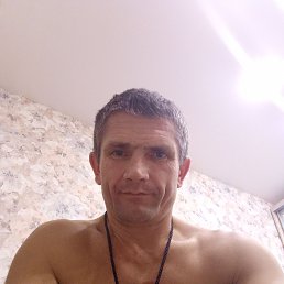 , 44,  