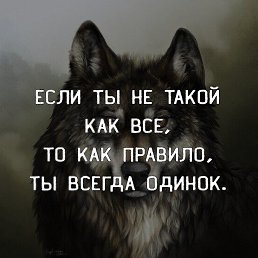 ���� �����, ����, 45 ��� - ��������� 19 ���� 2024