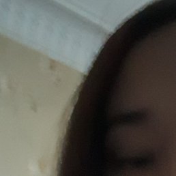 �����, �����-���������, 18 ���