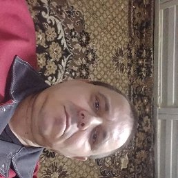 ������, ������-����������, 50 ���