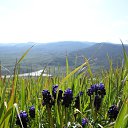 ���� �������, �������� - ��������� 1 ���� 2025 � ������ ���� ����������