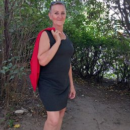 ���� ��������, ���������, 66 ��� - ��������� 6 �������� 2025