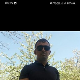 �����, ������ ��������, 38 ���