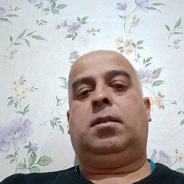 �����, ������, 46 ���