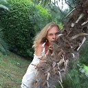 ���� ��������, ���������, 43 ���� - ��������� 13 ����� 2026 � ������ ���� ����������