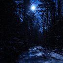 ���� ���i�, �������, 106 ��� - ��������� 18 ������� 2024 � ������ ���� ����������