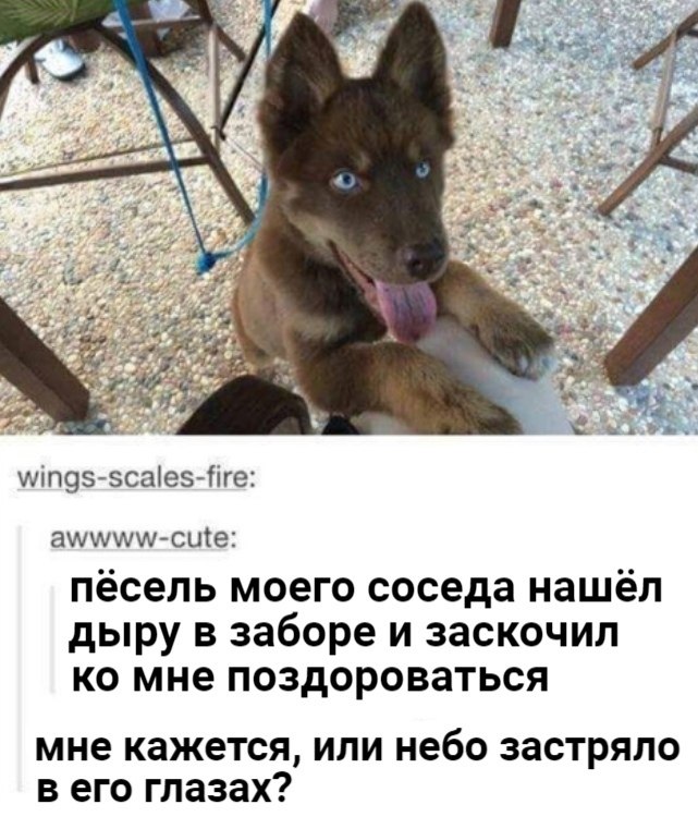   !