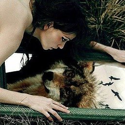 ������ ��, �����, 44 ����