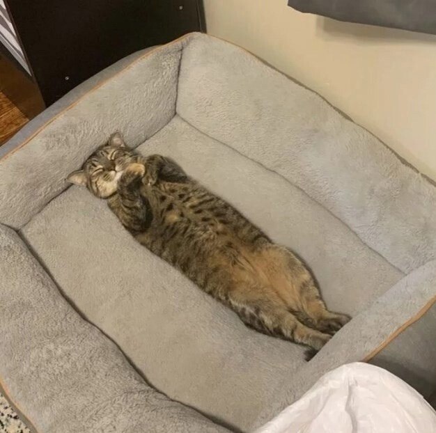     :      !!!