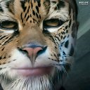 ���� ���� ����, ������, 79 ��� - ��������� 11 ��� 2026 � ������ ���� ����������