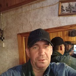 , 41 , -