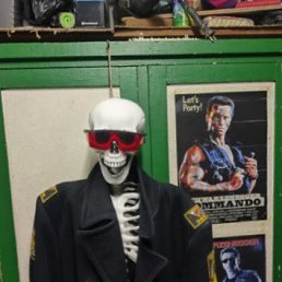 ����, 43 ����, �����������