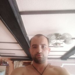 , 30, 