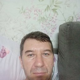 ���� ���������, ����, 42 ���� - ��������� 8 ������ 2026