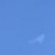 ���, 41 ���, ������