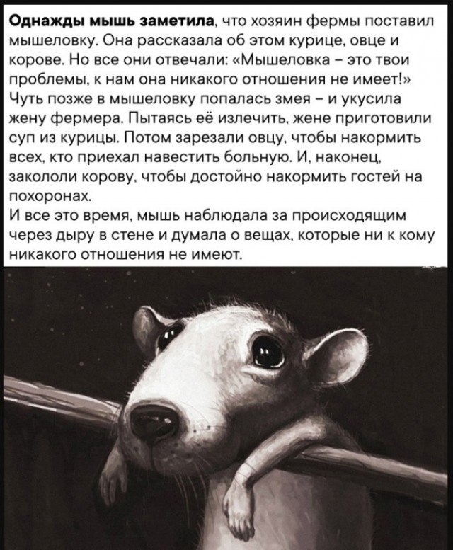 Геннадий - 9 августа 2025 в 18:28