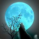 ���� ���������� ���������, ����������, 46 ��� - ��������� 9 ������ 2024 � ������ ���� ����������