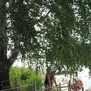 ���� ���������, ���, 32 ���� - ��������� 24 ������� 2025 � ������ ���� ����������