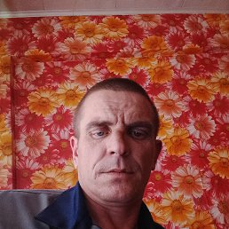 , 41, 