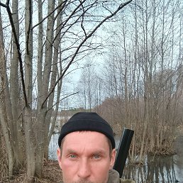 , 41, 