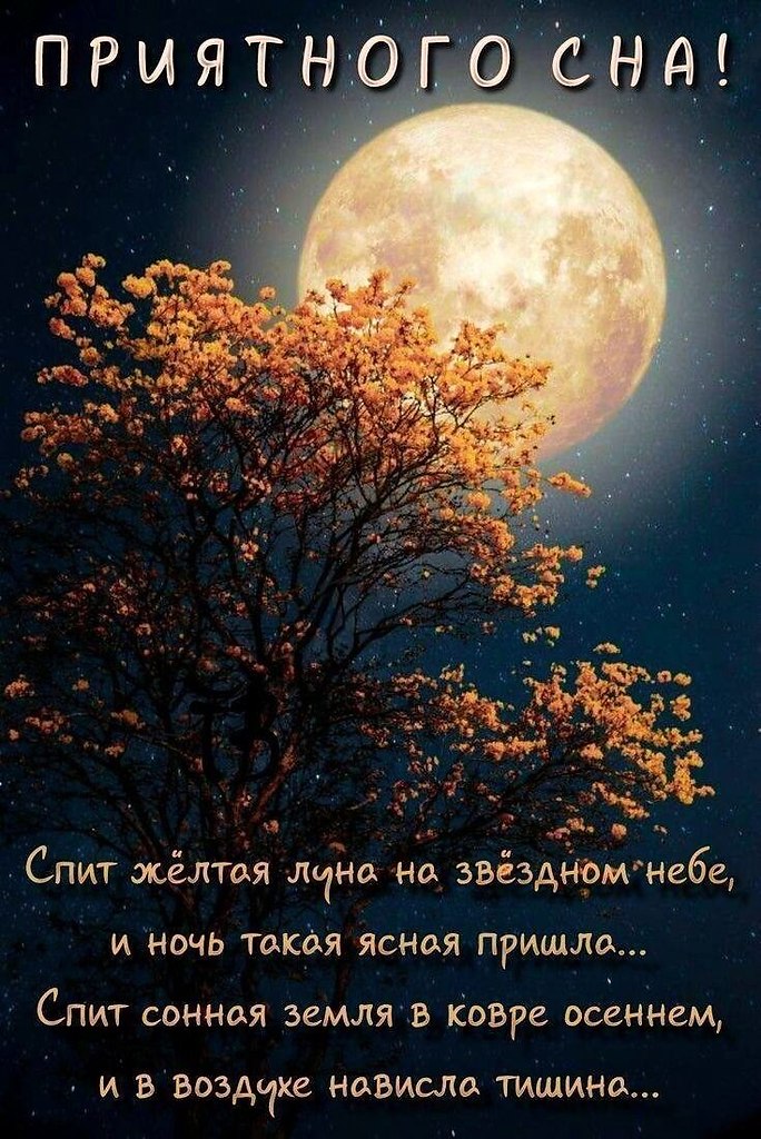 " ") - 19  2024  23:30