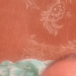 �������, ����, 52 ����