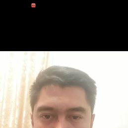 , 37, 