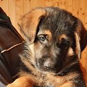 ���� ������, ����� - ��������� 12 ������ 2025 � ������ ������ ��������