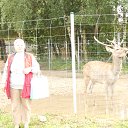 ���� ����, ������, 70 ��� - ��������� 7 ������ 2025 � ������ ���� ����������