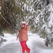 �����, 44 ����, ������